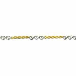 BRAXIOLI-XRYSO-LEYKOXRYSO-B-21010a