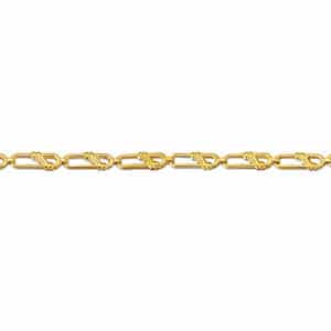 BRAXIOLI-XRYSO-B-21034-a